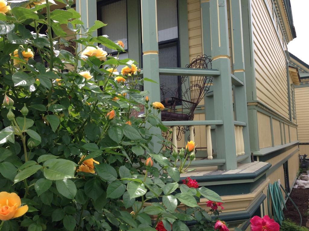ميدفورد Waverly Cottage المظهر الخارجي الصورة