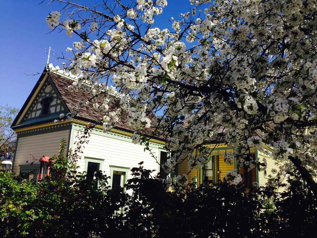 ميدفورد Waverly Cottage المظهر الخارجي الصورة